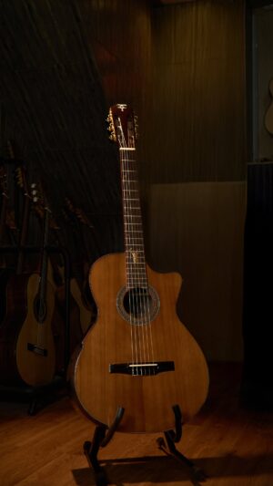 Guitar Trần Semi Classic A-07C Custom