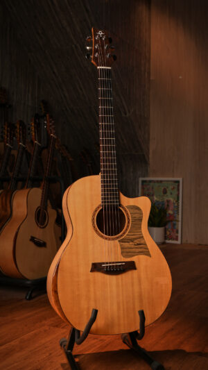Guitar Trần Acoustic AC-20