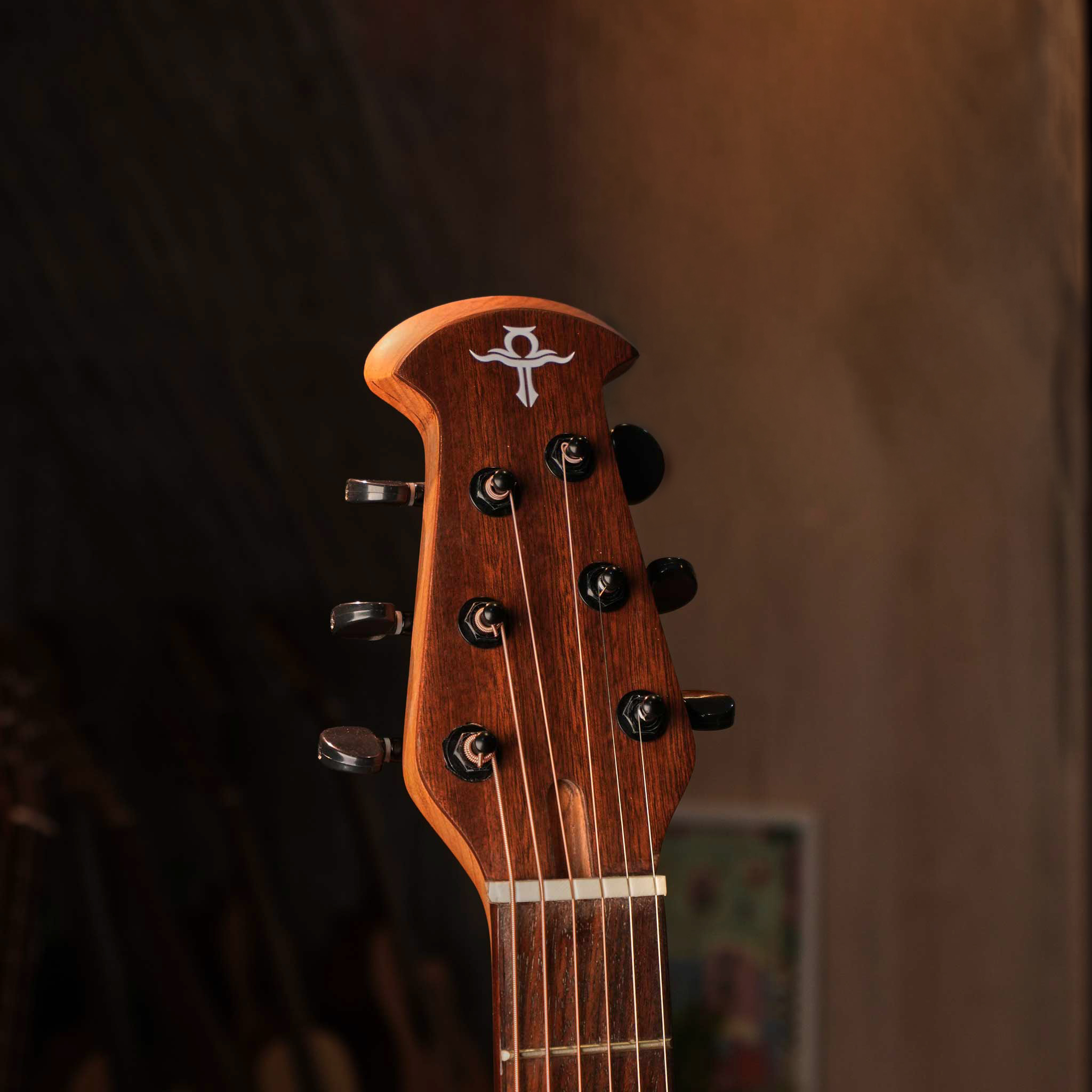Guitar Trần Ovation TOV-36 - Ảnh 4