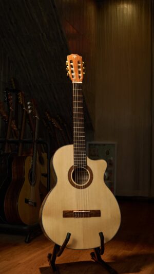 Guitar Trần Semi Classic CM-25CM