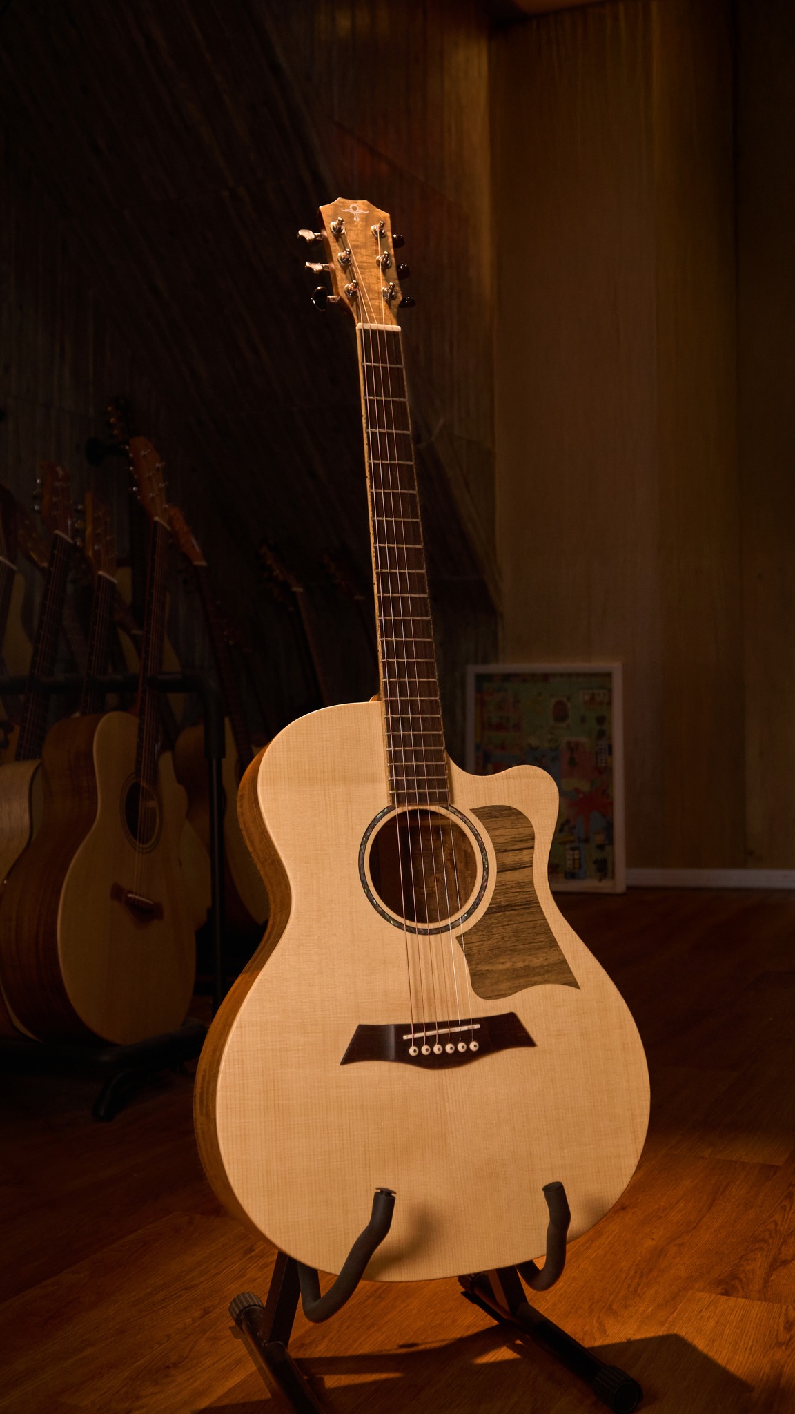 Guitar Trần Acoustic TC-33C - Ảnh 2
