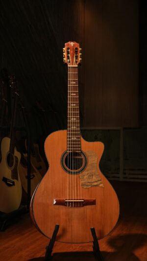 Guitar Trần Semi Classic CD-50C 2026