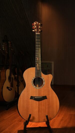 Guitar Trần Acoustic AT-07CXL Custom Limited