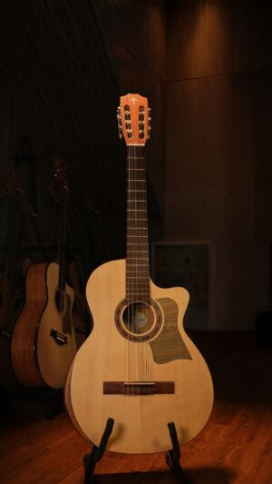 Guitar Trần Semi Classic CM-25C