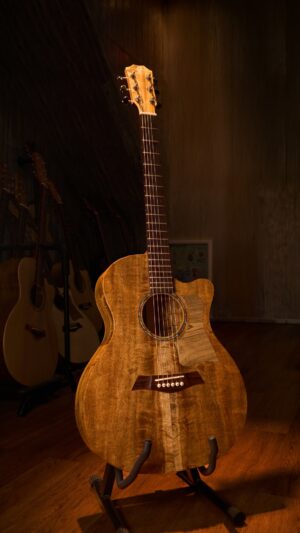 Guitar Trần  Acoustic TC-33C