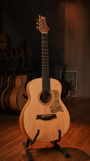 Guitar Trần Acoustic Mini 3/4 GS-20