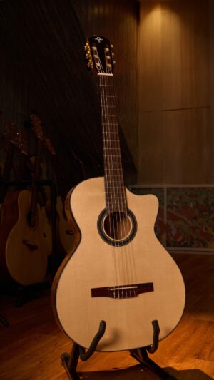 Guitar Trần Semi Classic Thinbody CM-35C