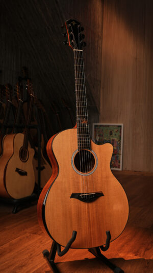 Guitar Trần Acoustic A-04CXO Custom