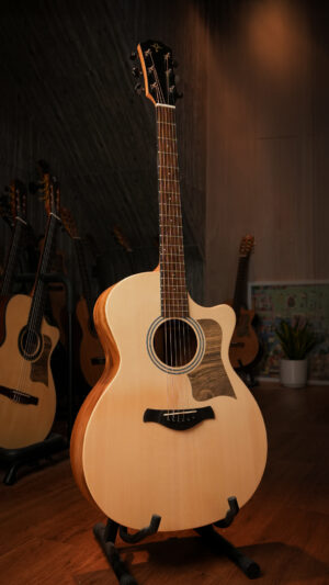 Guitar Trần Acoustic TD-37 2026