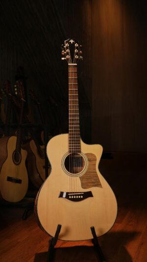 Guitar Trần Acoustic TC-27C 2026