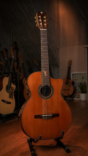 Guitar Trần Semi Classic A-07C Custom