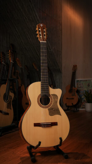 Guitar Trần Semi Classic CD-38