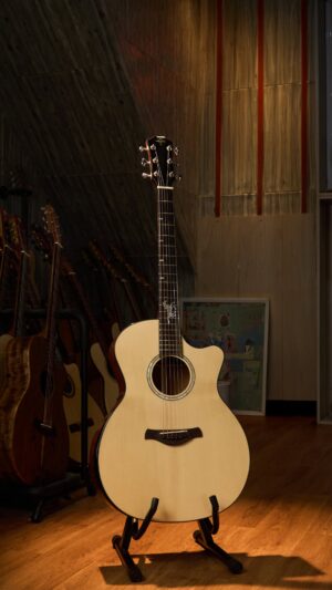 Guitar Trần Acoustic A-04CXO Custom