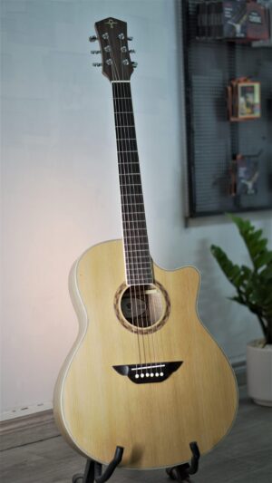 Guitar Trần Acoustic TC-27C