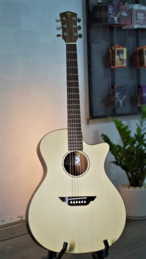 Guitar Trần Acoustic TM-32