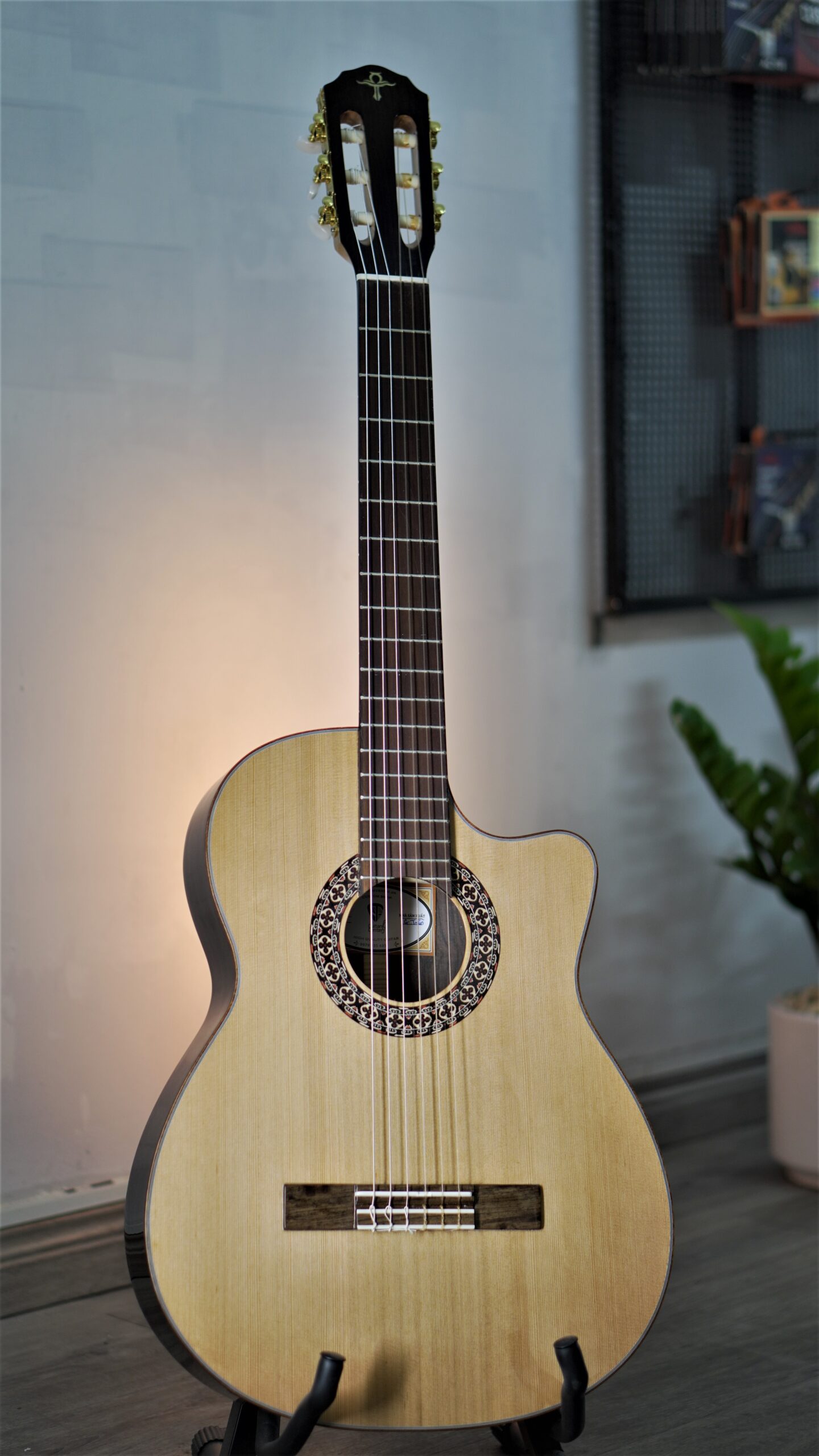 Guitar Trần Classic A-07C Custom