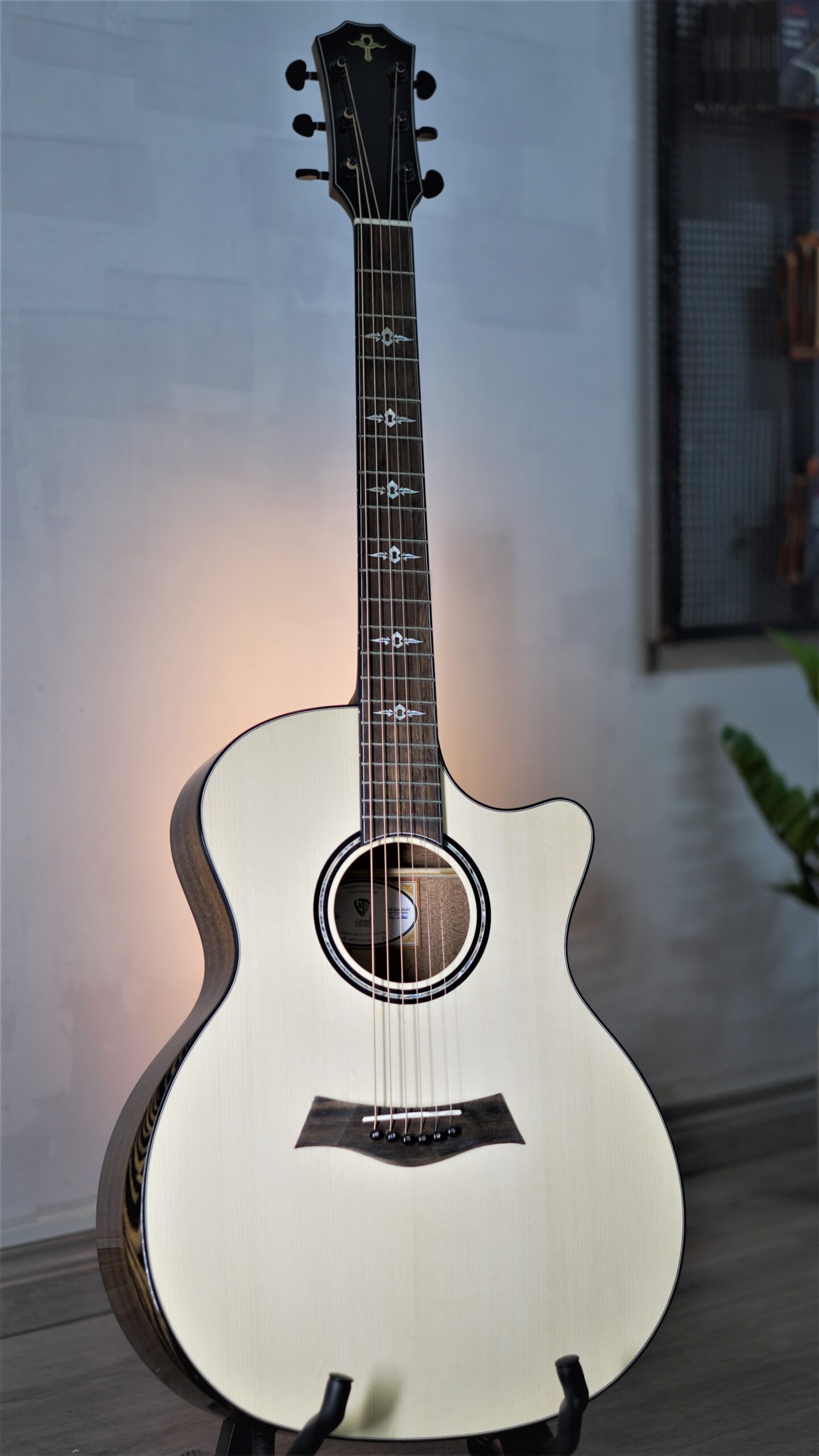 Guitar Trần Acoustic TM-45C Custom
