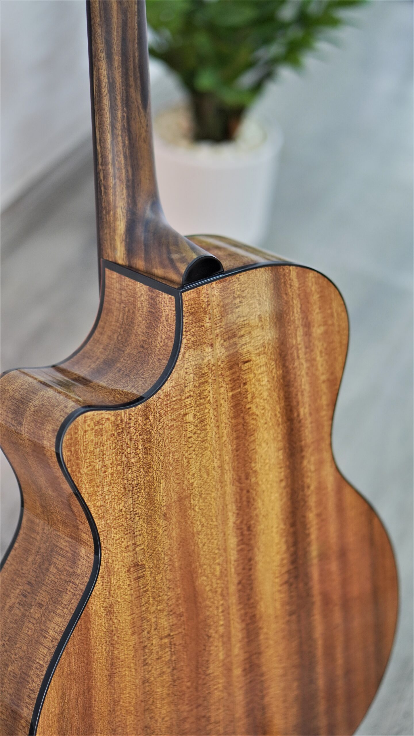 Guitar Trần Acoustic TM-45C Custom - Ảnh 6