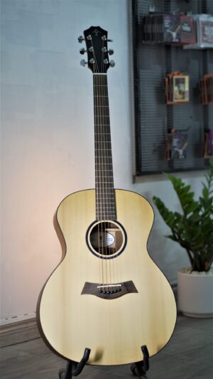 Guitar Acoustic Trần TM-45