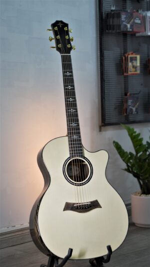 Guitar Trần Acoustic TCA-12 Custom