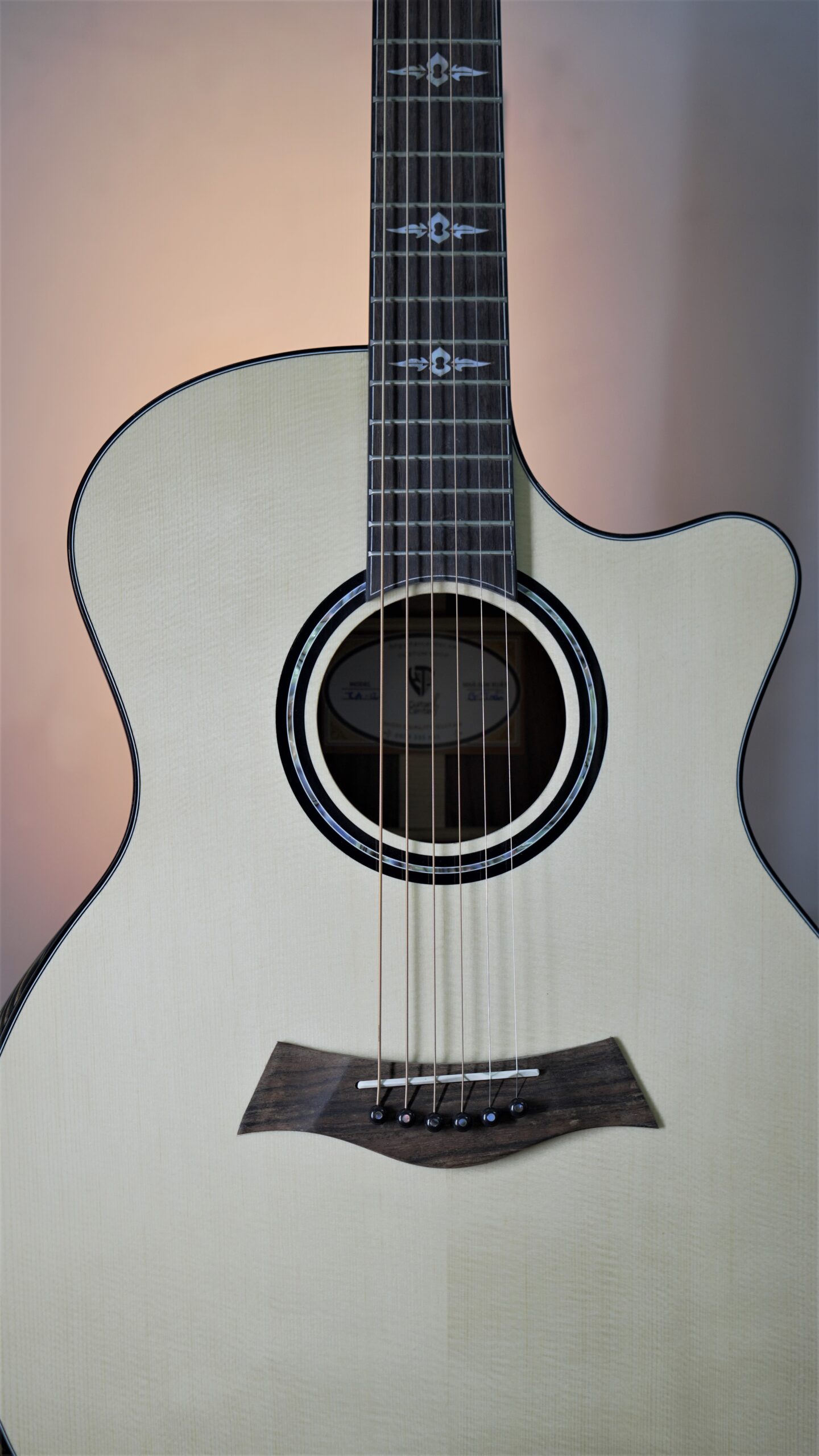 Guitar Trần Acoustic TCA-12 Custom - Ảnh 2