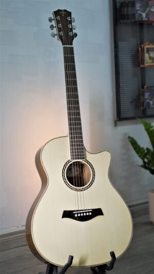 Guitar Trần Acoustic TM-29