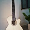 Guitar Trần Classic CD-38C