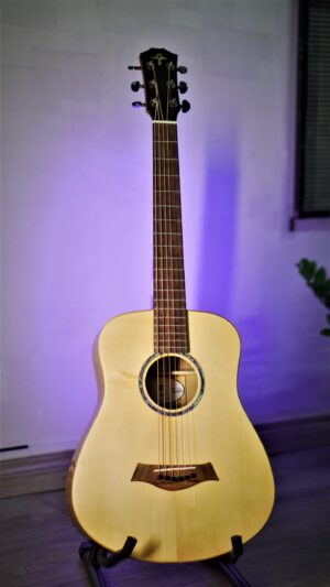 Guitar Trần Acoustic Mini 3/4 D-02 Junior Custom