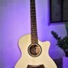 Guitar Acoustic Trần TM-45
