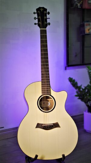 Guitar Acoustic Trần TM-45
