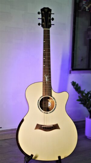 Guitar Trần Acoustic A-04CXO Custom