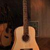 Guitar Trần Acoustic Mini 1/2 D-02 Junior
