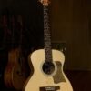 Guitar Trần Acoustic OM-25