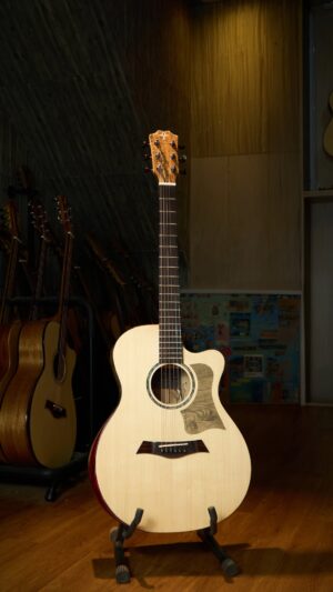 Guitar Trần Acoustic TD-37M Custom 2026