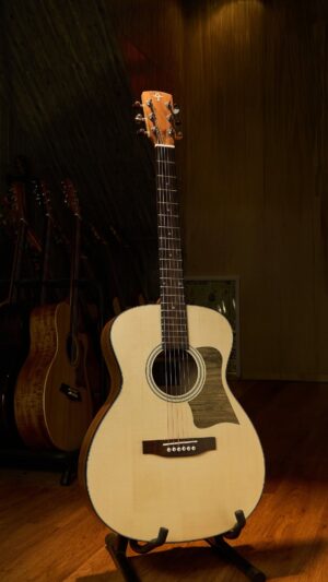 Guitar Trần Acoustic OM-25