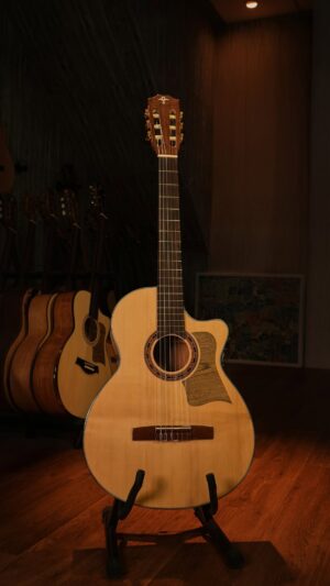 Guitar Trần Semi Classic CM-20