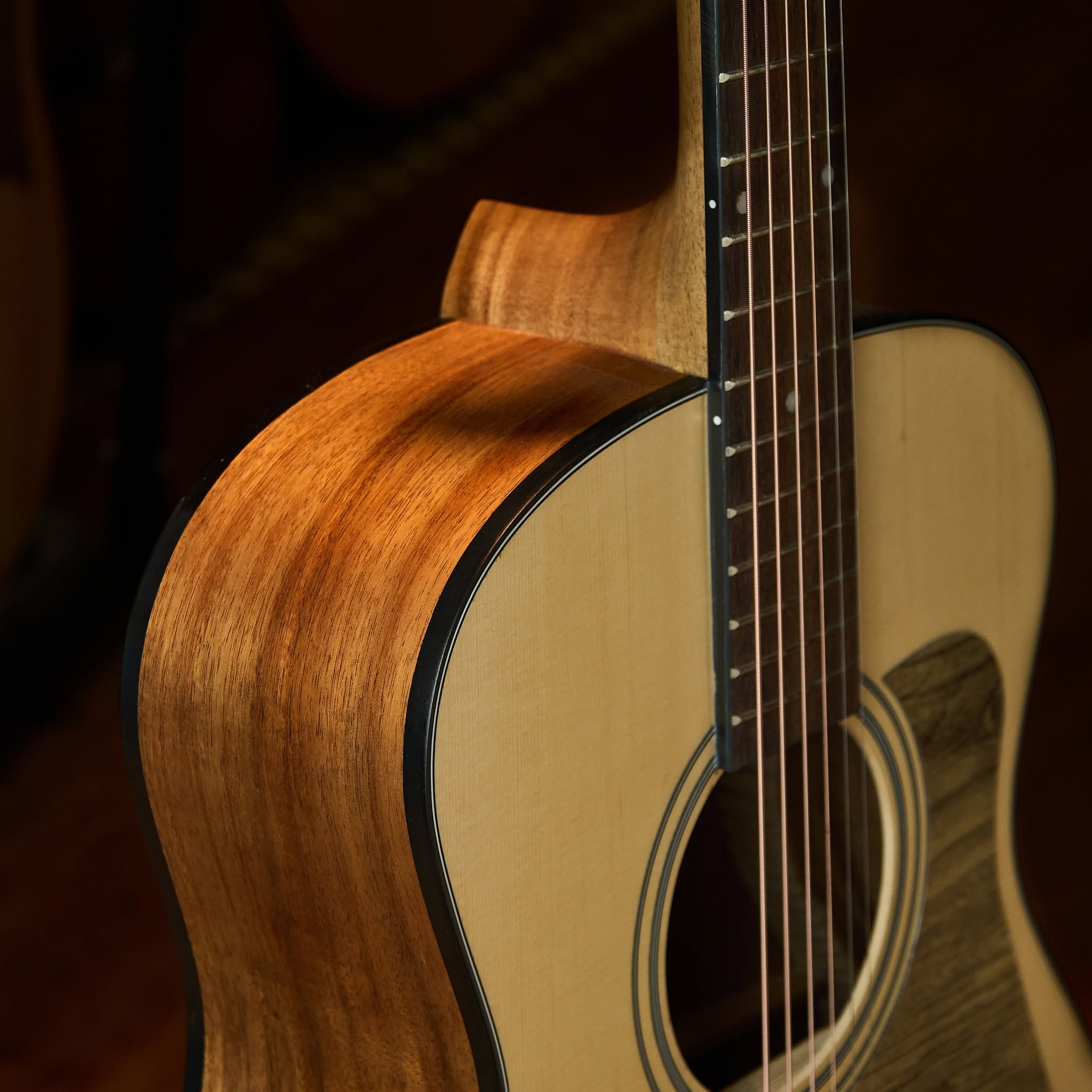 Guitar Trần Acoustic OM-25 - Ảnh 2