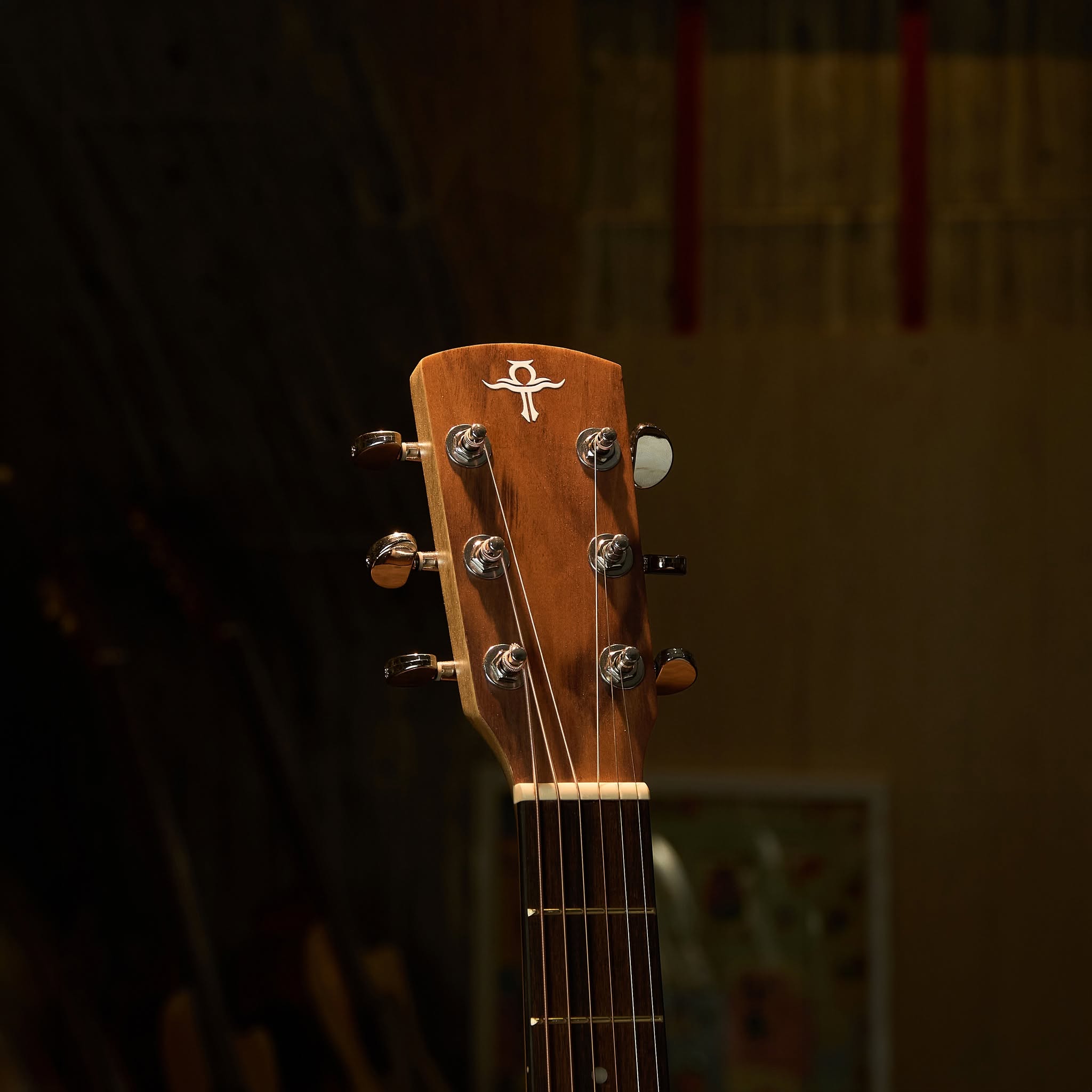 Guitar Trần Acoustic OM-25 - Ảnh 4