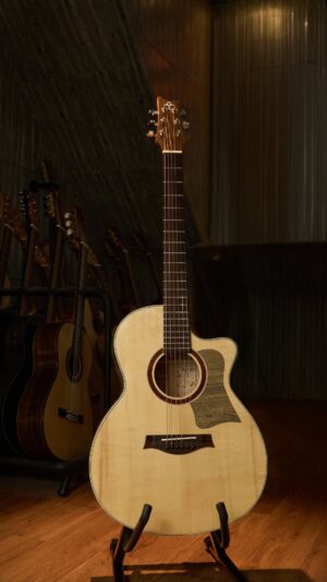 Guitar Trần  Acoustic THD-15S 2026