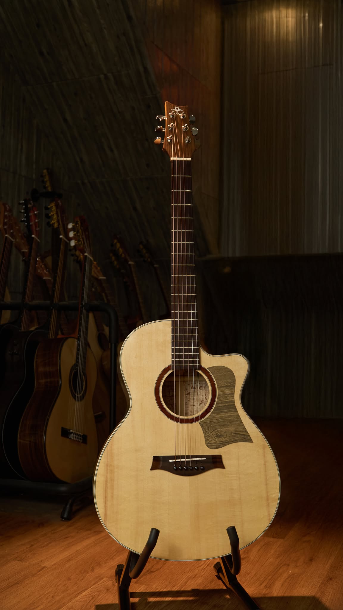 Guitar Trần Acoustic THD-15S 2026