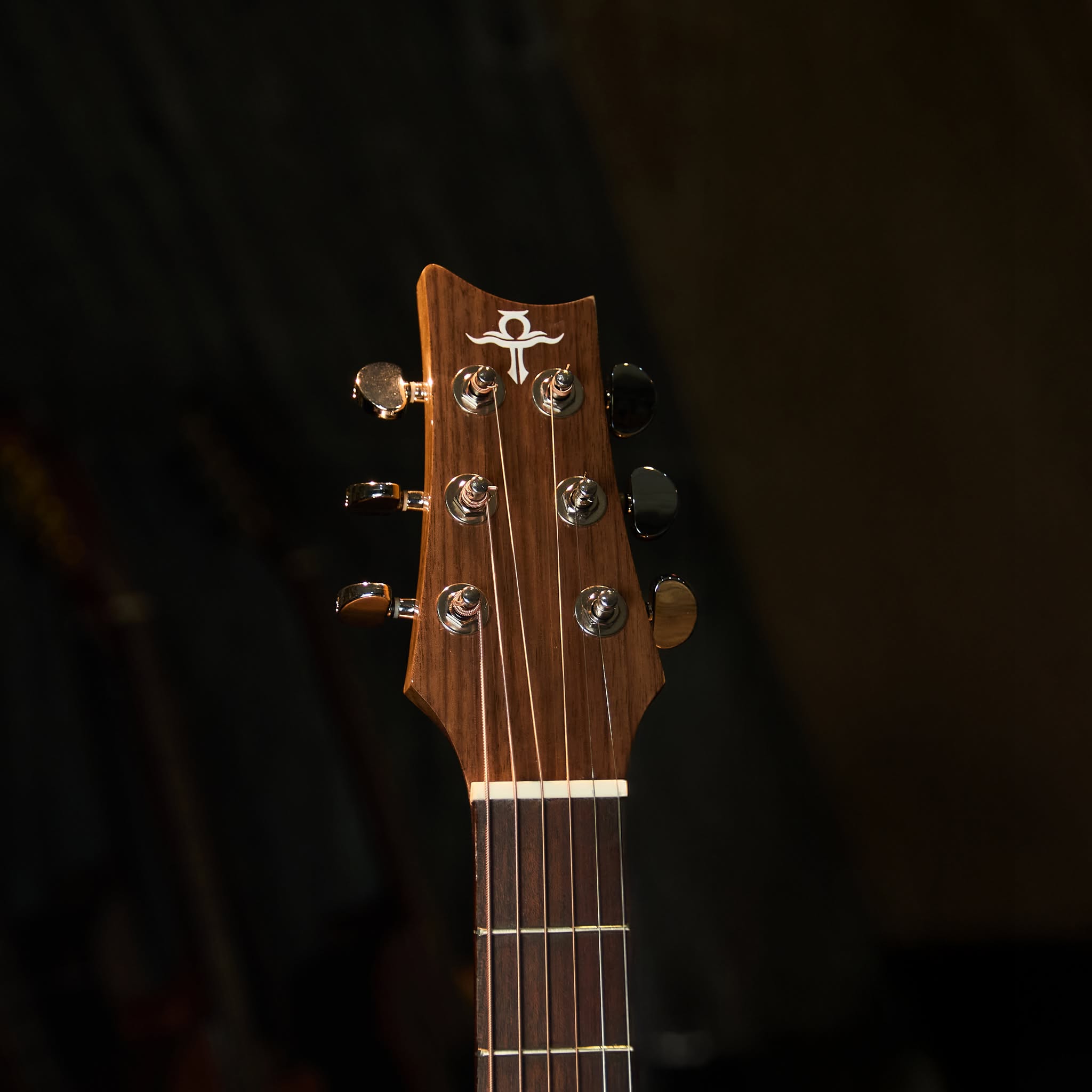 Guitar Trần Acoustic THD-15S 2026 - Ảnh 4