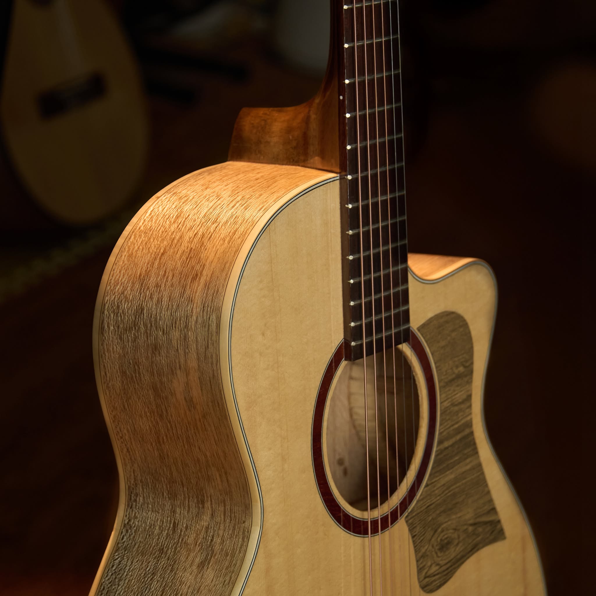Guitar Trần Acoustic THD-15S 2026 - Ảnh 2