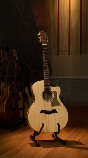 Guitar Trần  Acoustic TC-33T- Thin body