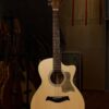 Guitar Trần Acoustic TM-25C