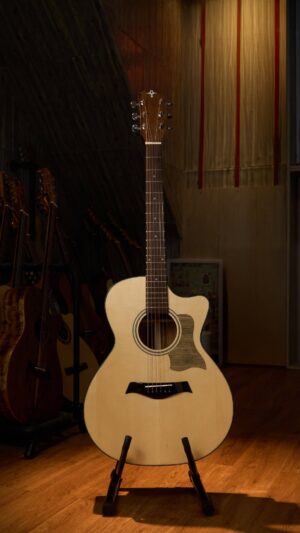 Guitar Trần Acoustic TM-25C